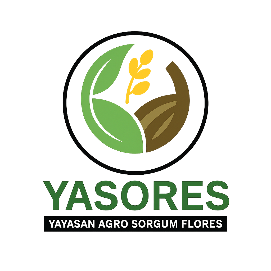Yasores