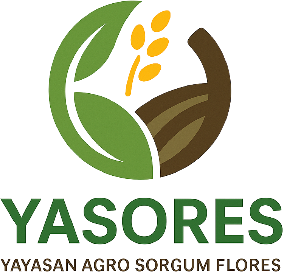 Yasores