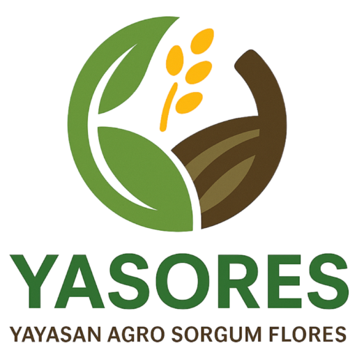 Yasores